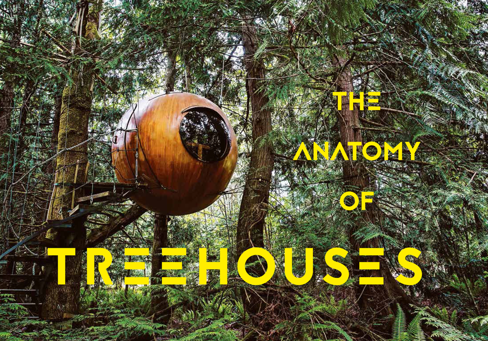 The Anatomy Of Treehouses
